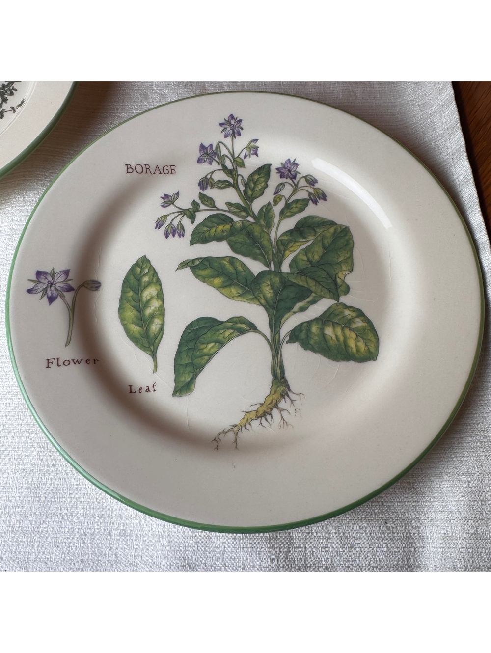 Vintage Williams Sonoma Culinary Herbs Plates Set Of 2 Thyme Borage 9 Inch - Picture 3 of 8